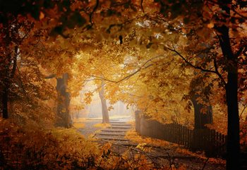 Fototapeta  Turn To Fall