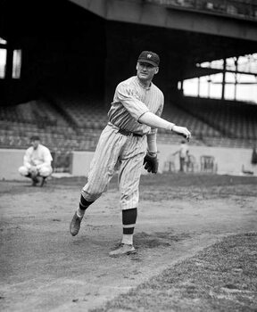 Fototapeta Walter Johnson