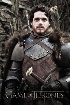 Adesivo murale Game of Thrones - Robb Stark