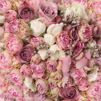 Glasbilder Romantic Roses 1