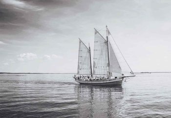 Glasbilder  Sail Away