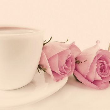 Pink Roses Glassbilder