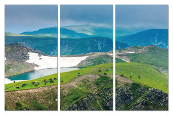 Cuadro  Green mountains