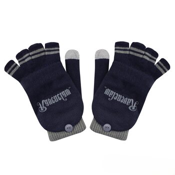 Kläder Handskar  Harry Potter - Ravenclaw
