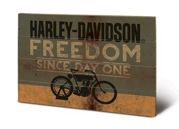 Bild auf Holz HARLEY DAVIDSON - freedom