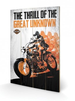 Bild auf Holz HARLEY DAVIDSON - great unknow