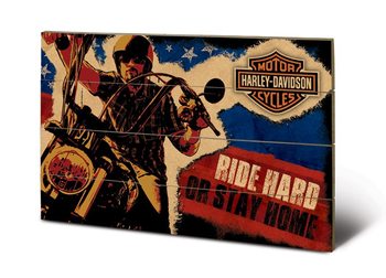 Bild auf Holz HARLEY DAVIDSON - ride hard