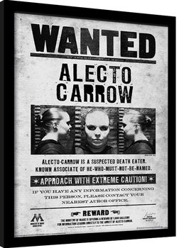 Rámovaný plakát Harry Potter - Alecto Wanted