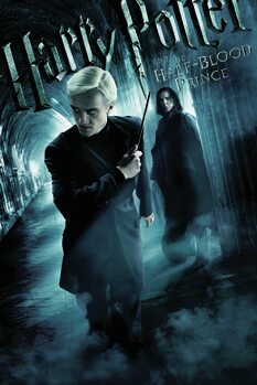 Tablou pe pânză Harry Potter and The Half-Blood Prince - Draco Malfoy