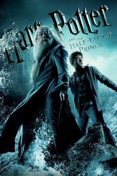 Obraz na plátně Harry Potter and The Half-Blood Prince
