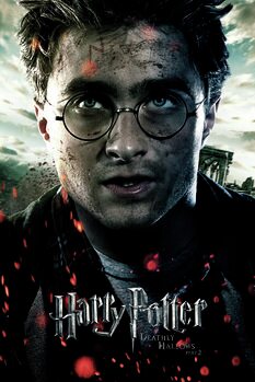 Obraz na plátně Harry Potter - Deathly Hallows
