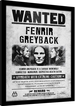 Rámovaný plakát Harry Potter - Fenrir Wanted