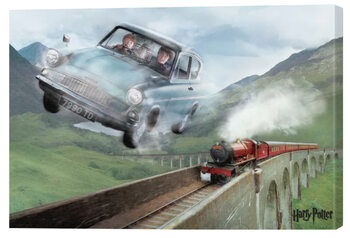 Harry Potter - Flying Ford Anglia Obraz