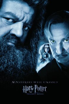 Obraz na plátně Harry Potter - Hagrid & Lupin