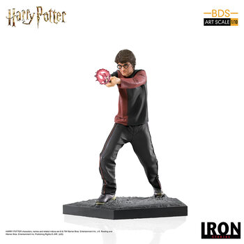 Statuetta Harry Potter - Harry Potter