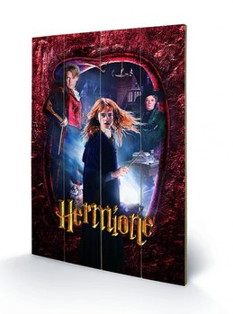 Bild auf Holz Harry Potter - Hermione