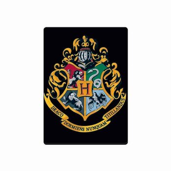 Aimant Harry Potter - Hogwarts