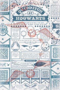 Quadro su tela Harry Potter - Quidditch at Hogwarts