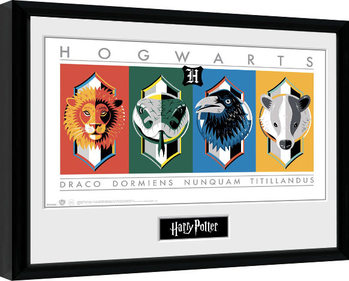 Rámovaný plakát Harry Potter - Sigils
