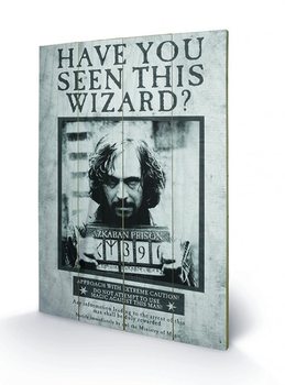 Bild auf Holz Harry Potter - Sirius Wanted