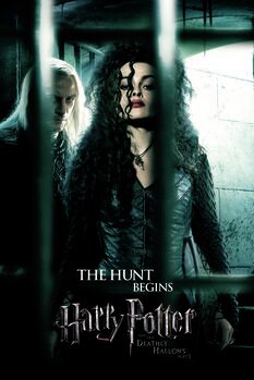 Tablou pe pânză Harry Potter - The hunt begins