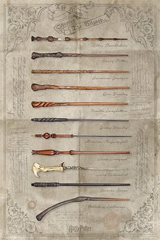 Αφίσα  Harry Potter - The Wand Chooses The Wizard