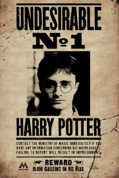 Obraz na plátně Harry Potter - Undesirable No 1