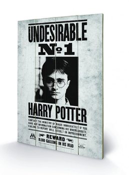 Bild auf Holz Harry Potter - Undesirable No1