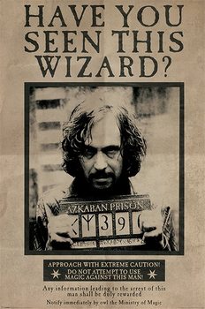 Αφίσα  Harry Potter - Wanted Sirius Black