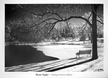 Művészeti nyomat Heritage Pond in Winter