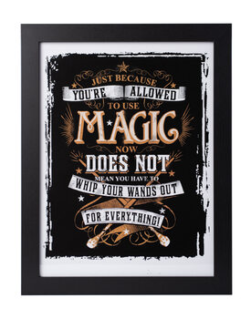 Ingelijste poster Harry Potter - Allowed Magic