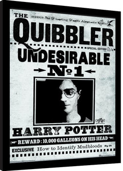 Ingelijste poster Harry Potter - The Quibbler