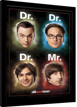 Ingelijste poster The Big Bang Theory - Dr Mr