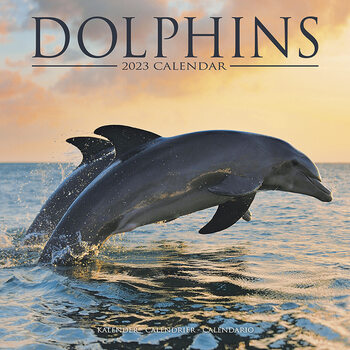 Kalendár 2023 Delfíny