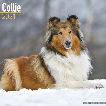Kalendář 2021 Kolie
