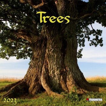 Kalendár 2023 Trees