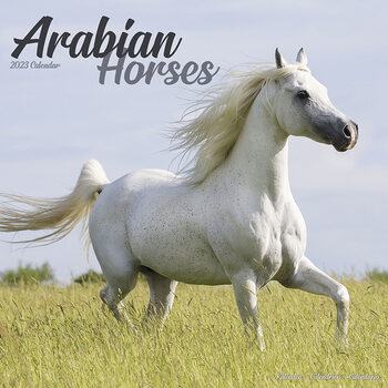 Kalendář 2023 Arabské koně