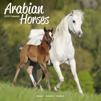 Kalendář 2024 Arabské koně