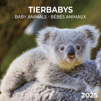 Kalendár 2025 Baby Animals