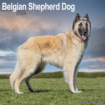 Kalendár 2024 Belgický ovčiak