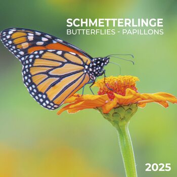 Kalendár 2025 Butterflies