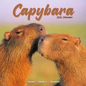 Kalendář 2026 Capybara