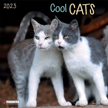 Kalendár 2027 Cool Cats