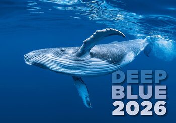Kalendář 2026 Deep Blue