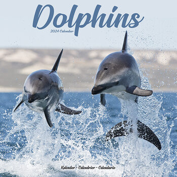 Kalendár 2024 Delfíny