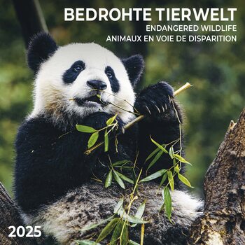 Kalendár 2025 Endangered wildlife