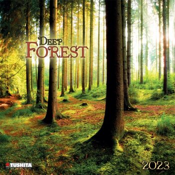 Kalendář 2023 Hluboký les