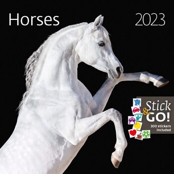 Kalendář 2023 Koně