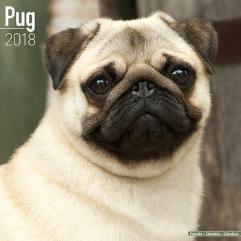 Kalendář 2027 Mops