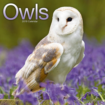 Kalendár 2027 Owls